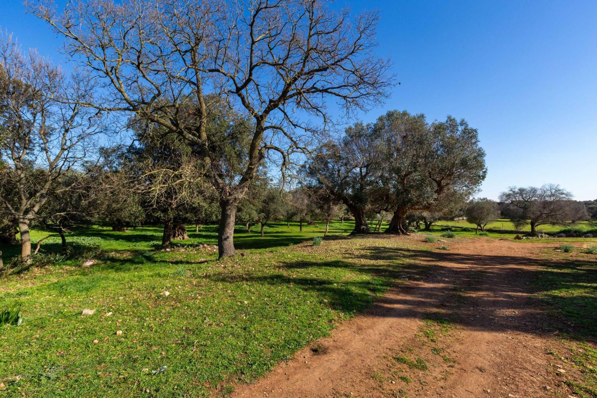 Agriturismo Masseria Carrone Carovigno Extérieur photo