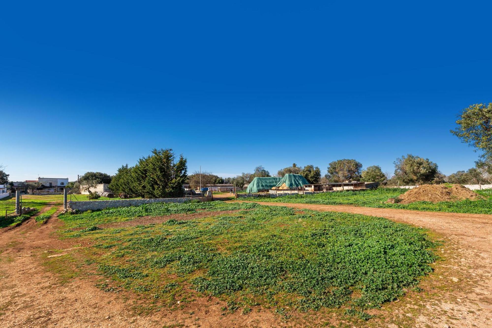 Agriturismo Masseria Carrone Carovigno Extérieur photo