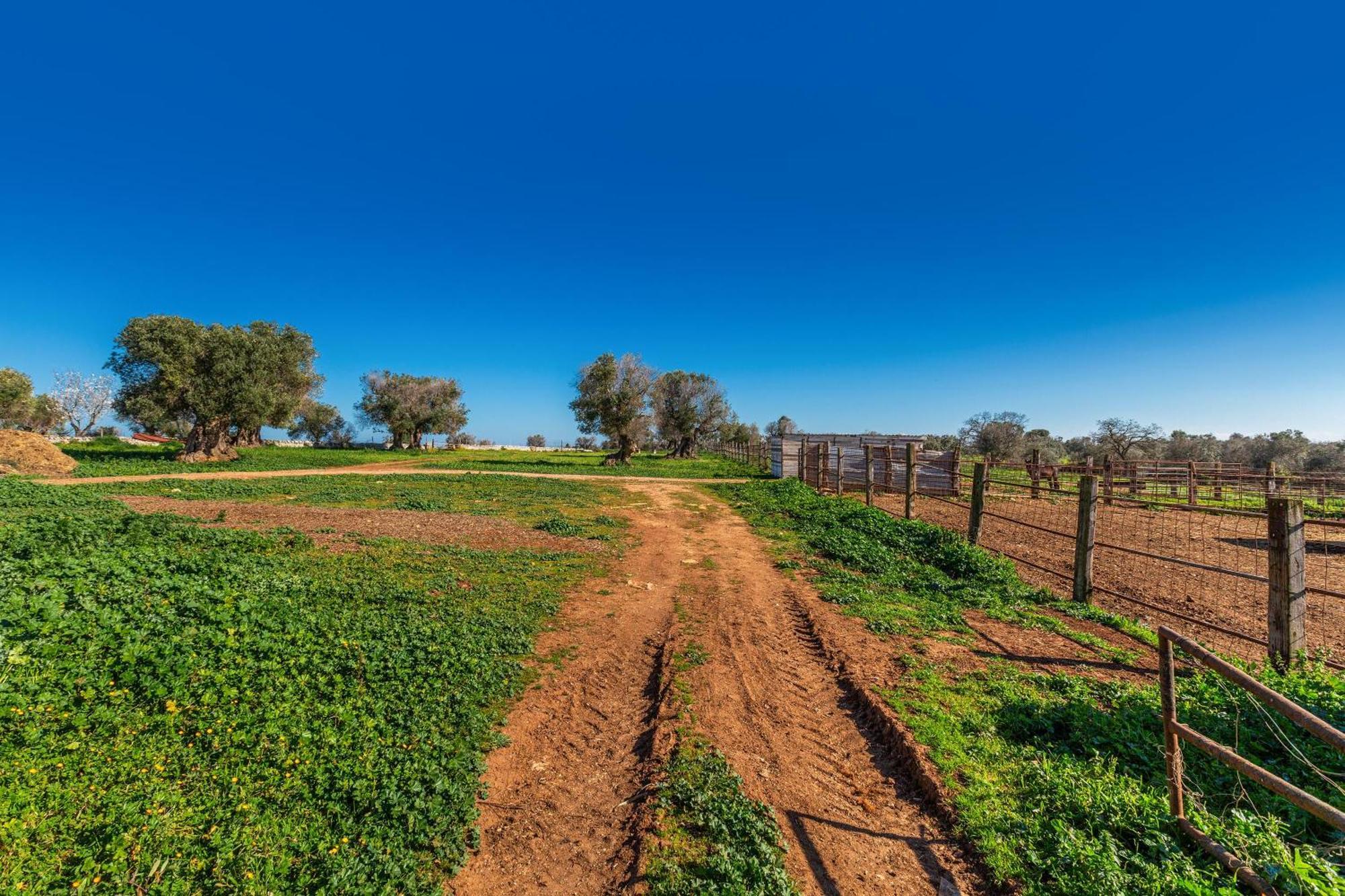 Agriturismo Masseria Carrone Carovigno Extérieur photo